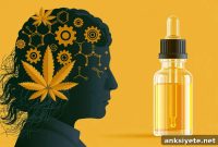Purified THC and CBD Oil Cuts Dementia Agitation