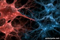 Single Neural Population Senses Both Warm and Cool Temperatures