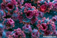 Blocking a Macrophage Receptor Reverses Aging in Multiple Organs