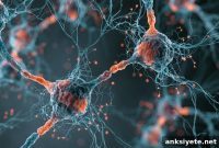 Electroconvulsive Therapy Rejuvenates Adult Neurons