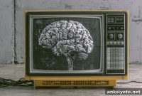 How Excessive TV Viewing Can Shrink Your Brain