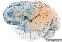 Sparse Synapses Balance Cortical Clock Sync and Autonomy