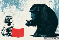 Study Shows Monkeys and Children Share Geometric Intuition