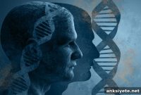 Study Identifies New Genes Linked to Borderline Personality Disorder