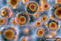 New Study Reveals Acid Ceramidase Link to Ferroptosis and Aging