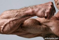 New Compound Could Restore Muscle Strength in Older Adults