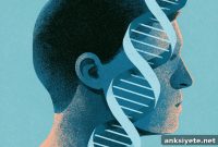 Genotype-Based Recall in Precision Psychiatry