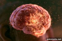 3D Core2Edge Model Reveals Human Glioblastoma Invasion
