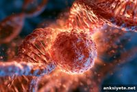 New Gene Pathway Reveals Target for Glioblastoma Therapy