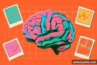 How Noise and Resource Limits Shape Memory