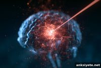 Focused Ultrasound Opens BBB to Improve Brain Cancer Treatment
