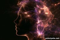 Ketamine and Psychedelics Rewire Immune Signaling in Depression
