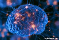 Phase 1 Trial Validates Anti-PD-L1 Antibody for Alzheimer’s