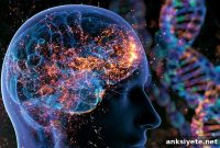 Modern Human PSPH Gene Outperforms Ancestral Variants