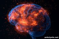 Brain Cancer Vaccine Targets Revealed