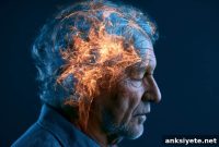 Midlife Vascular Health Extends Dementia-Free Life by Nearly 13 Years