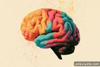 Why Psychedelics Create a Sense of Oneness