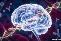 How Severe Maternal Illness Alters Fetal Brain Development