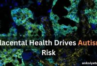 Could the Placenta Influence Autism Risk in Children?