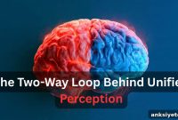How Brain Regions Resolve Visual Conflicts in a Split Second