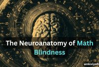 How Neural Circuit Glitches Block Math Problem Solving