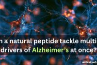 Natural Peptide Targets Multiple Alzheimer’s Disease Hallmarks