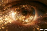 How a Membrane Lipid Regulates Retinal Light Sensitivity