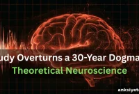 Shared Neural Noise Doesn’t Limit Brain Information Capacity