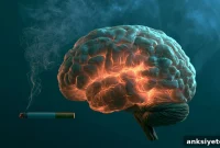 How Mitochondria in the Brain’s Reward Center Fuel Nicotine Addiction