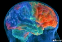Uninjured Brain Age Predicts Language Recovery After Stroke