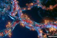 Repairing Brain Blood Vessels Reverses Autism-Like Behaviors in Mice