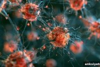Common Viral Infections Linked to Faster ALS Progression