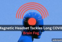 Magnetic Stimulation Reduces Long COVID Brain Fog