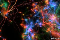 How a Single Neural Circuit Unifies Multidimensional Predictions