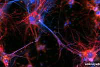 How Microglia Rescue Dopamine Neurons in Parkinson’s Disease