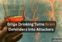 How Alcohol Causes Brain Cells to Self-Destruct