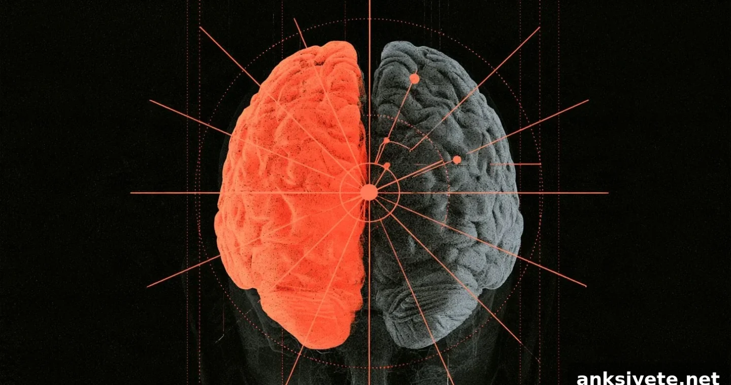 Why the Left Hemisphere Controls the Right Side of the Body