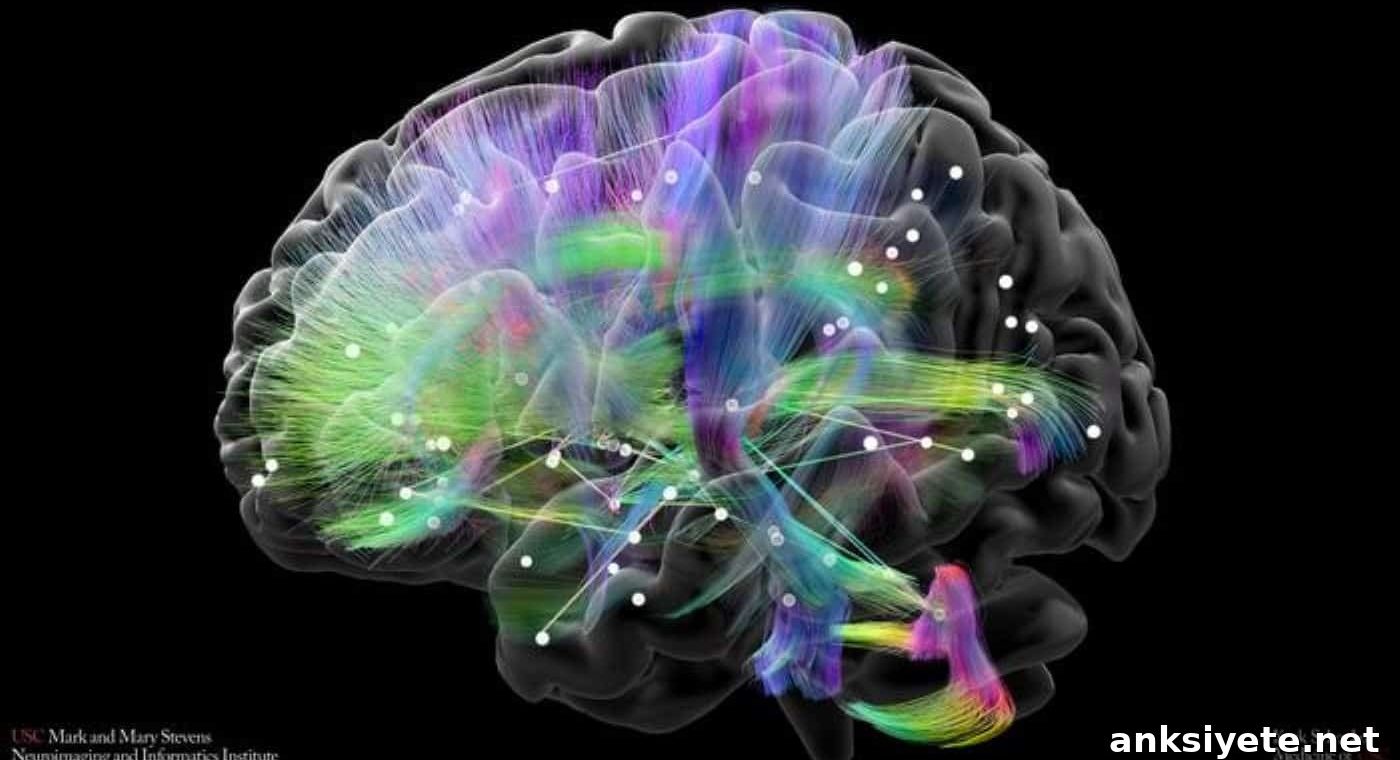Uncovering the Brain’s Mood Switch in Bipolar Disorder