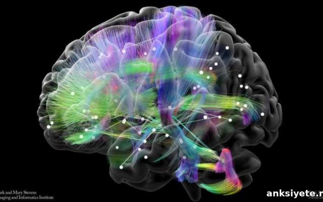 Uncovering the Brain’s Mood Switch in Bipolar Disorder