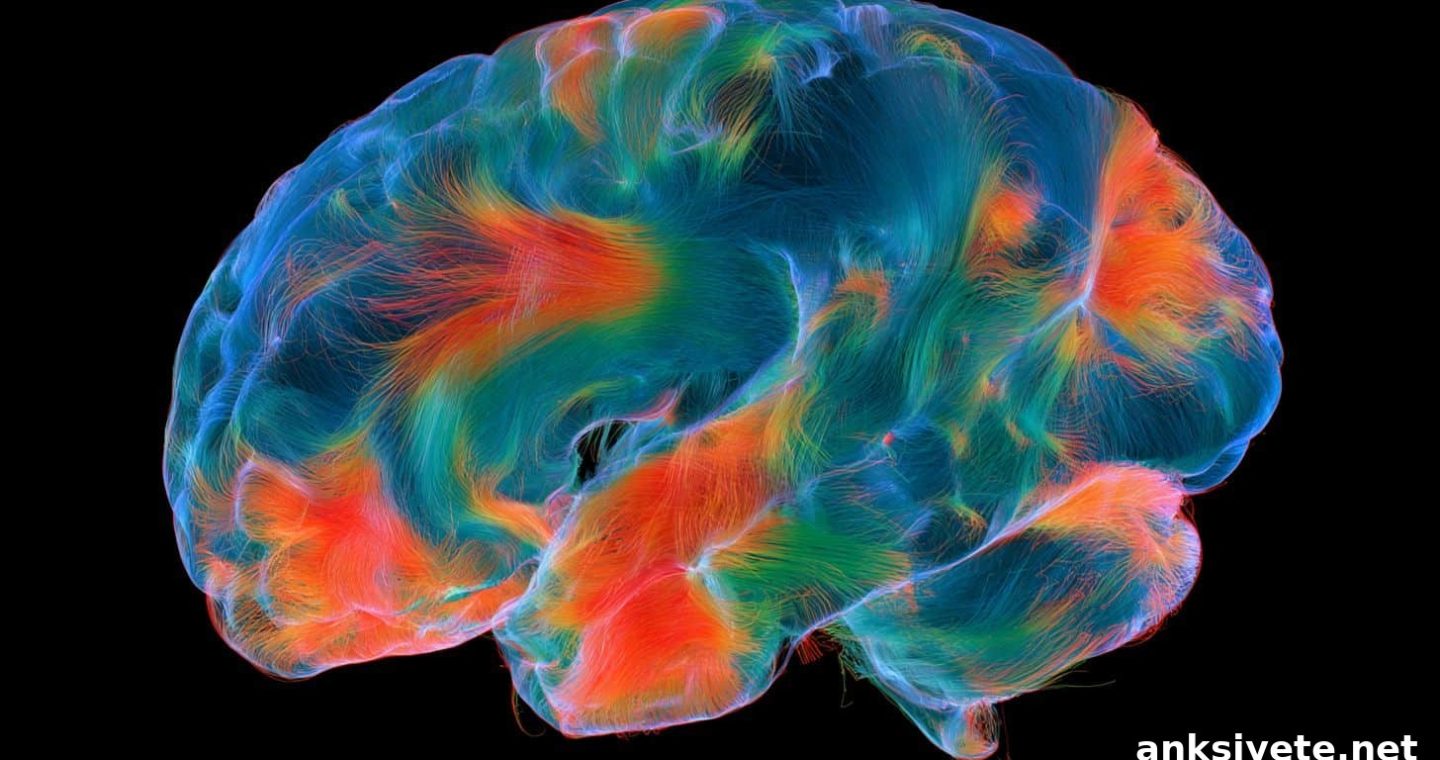 Why Brain Scans Can’t Predict Emotion Regulation