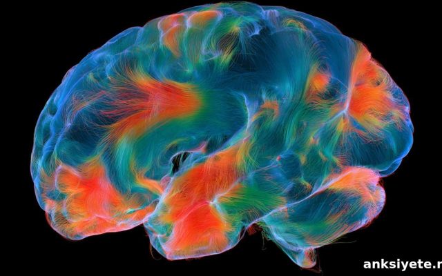 Why Brain Scans Can’t Predict Emotion Regulation